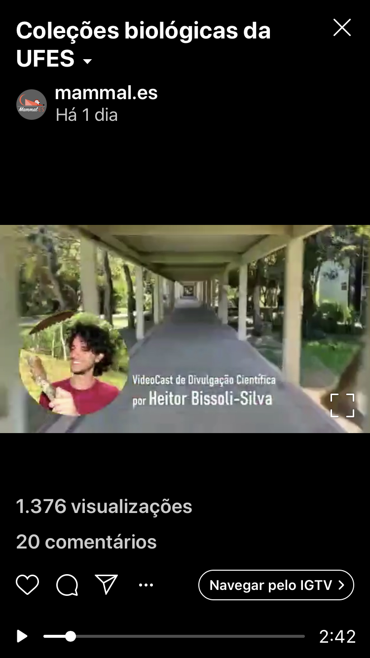 vídeo coleções