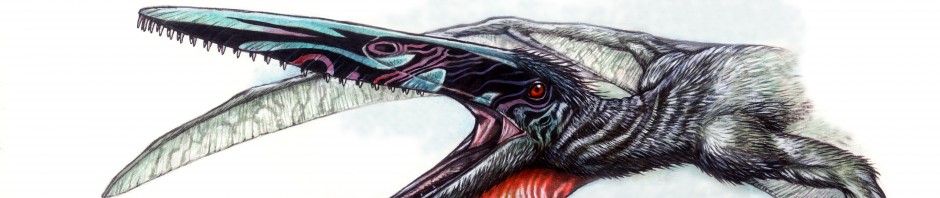 Laboratório de Paleontologia