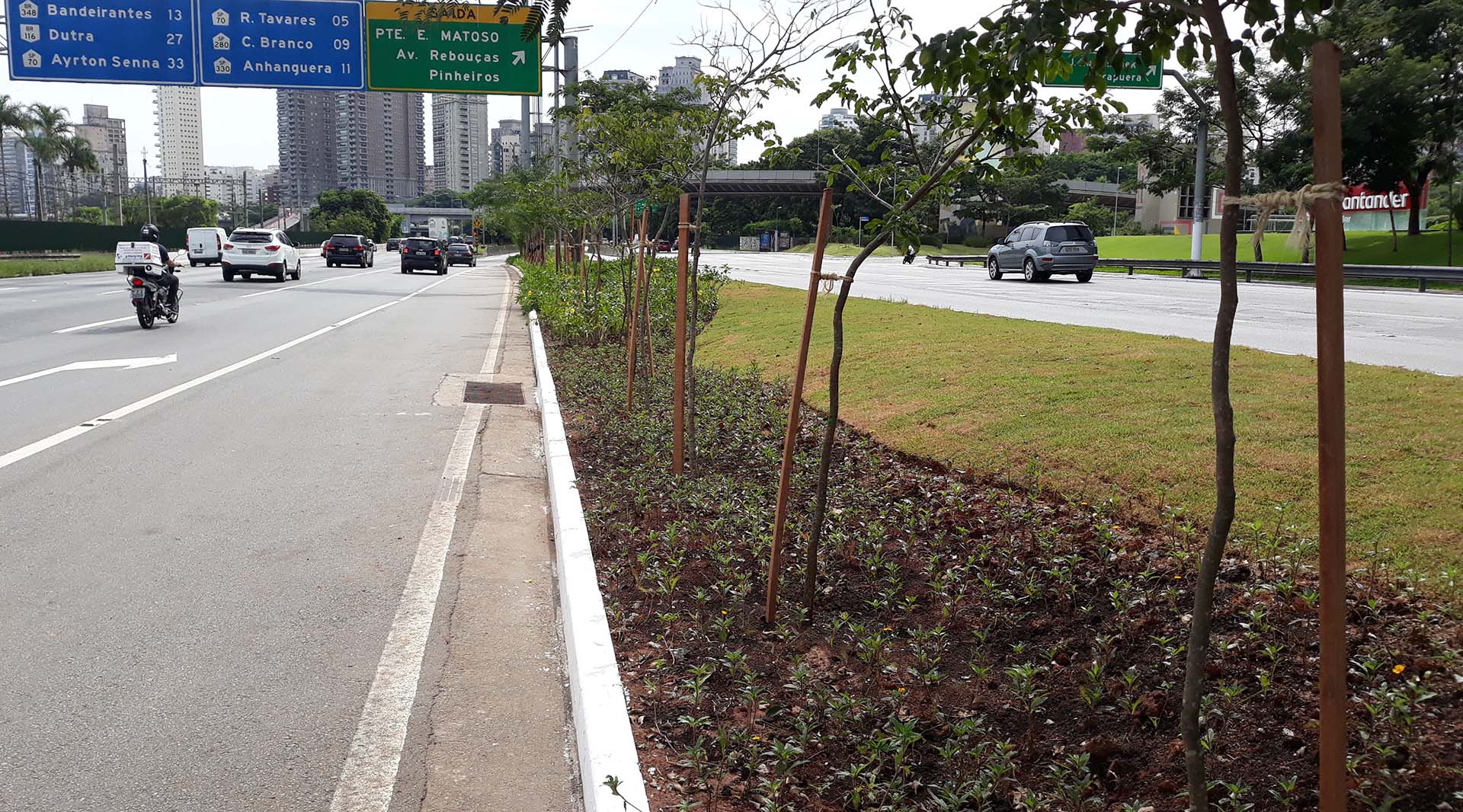 Jardins de chuva em São Paulo