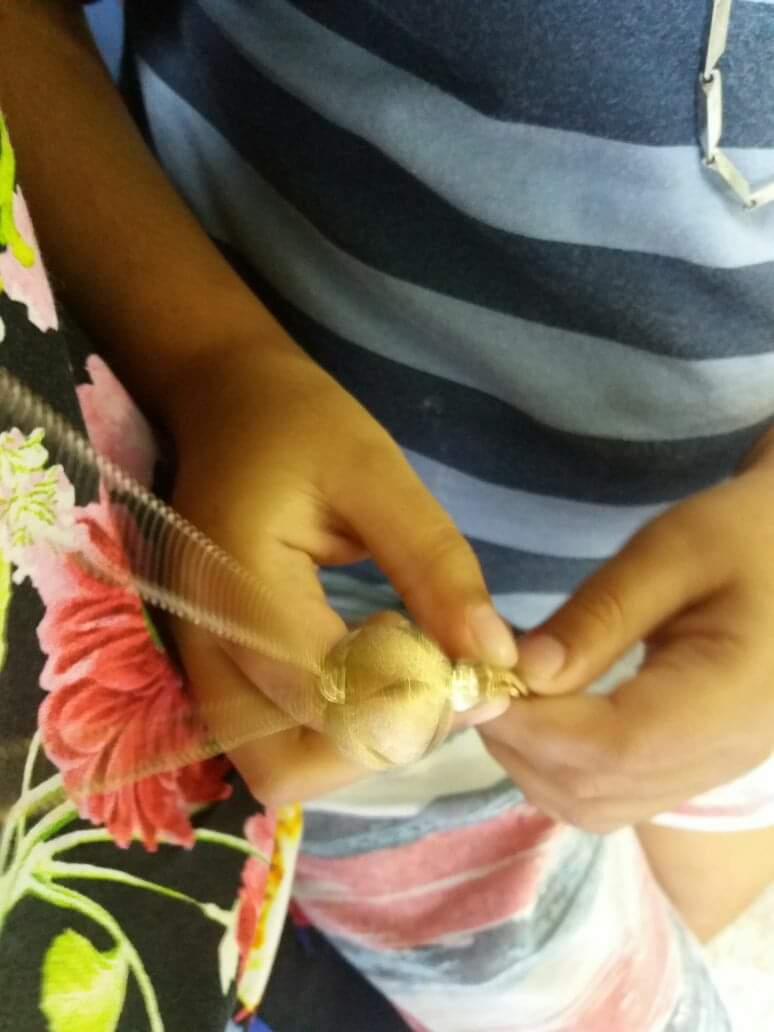 Naruto brinca com colar durante sua fase de educação no Hospital Infantil Nossa Senhora da Glória. Foto: Acervo pessoal