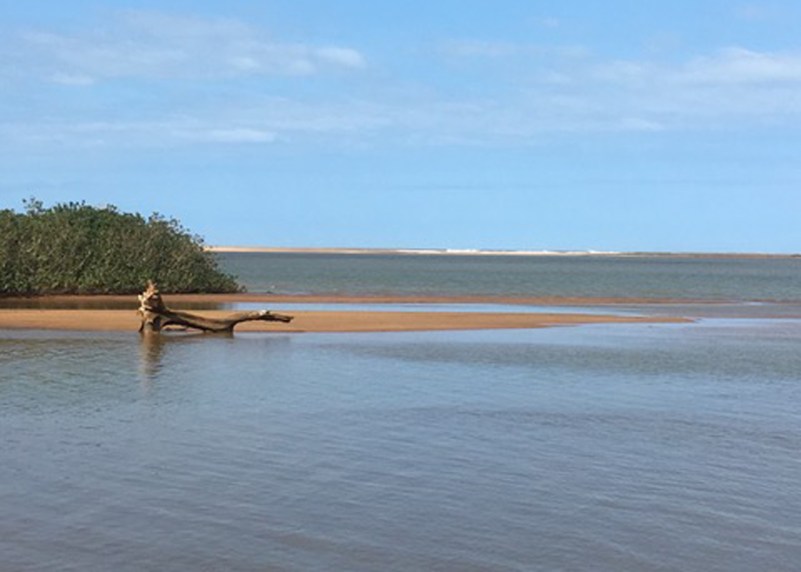 Artigo aponta contaminação de peixes no estuário do Rio Doce, em Regência